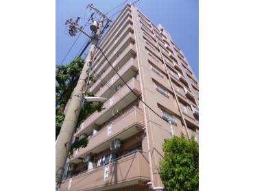 不動産の外観